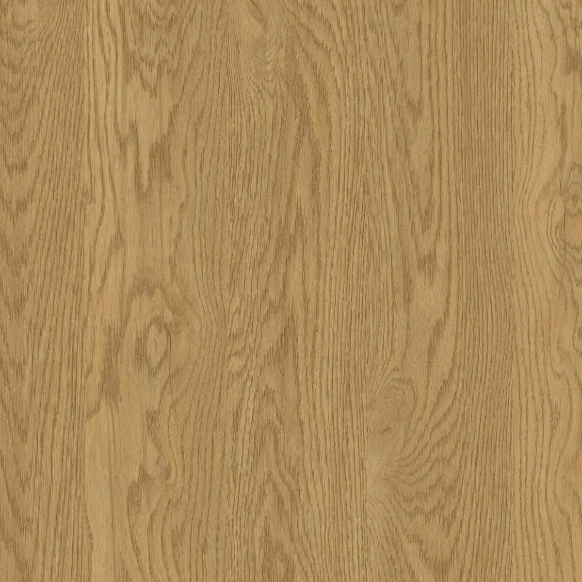 Płyta D60654 OV Dąb Fornir 18 mm / 2800 x 2070 mm - MAZI Plus